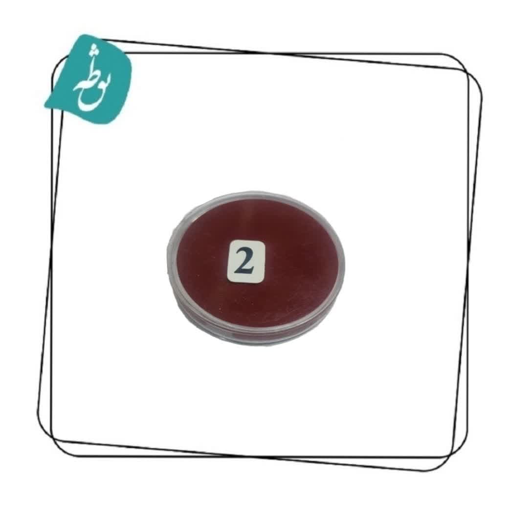 رژ لب و سایه سکه ای شماره 2