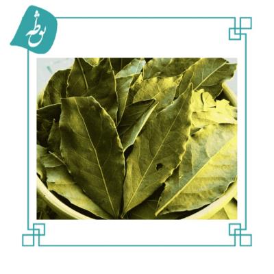 برگ بو