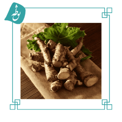 ریشه بابا آدم