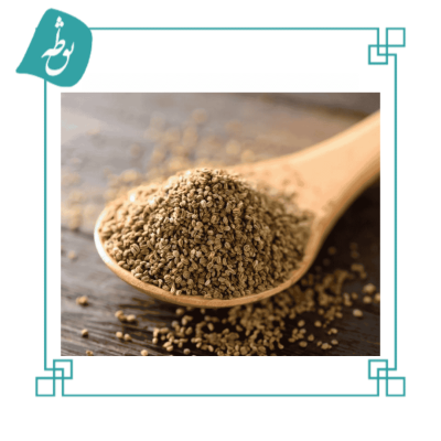 تخم کرفس